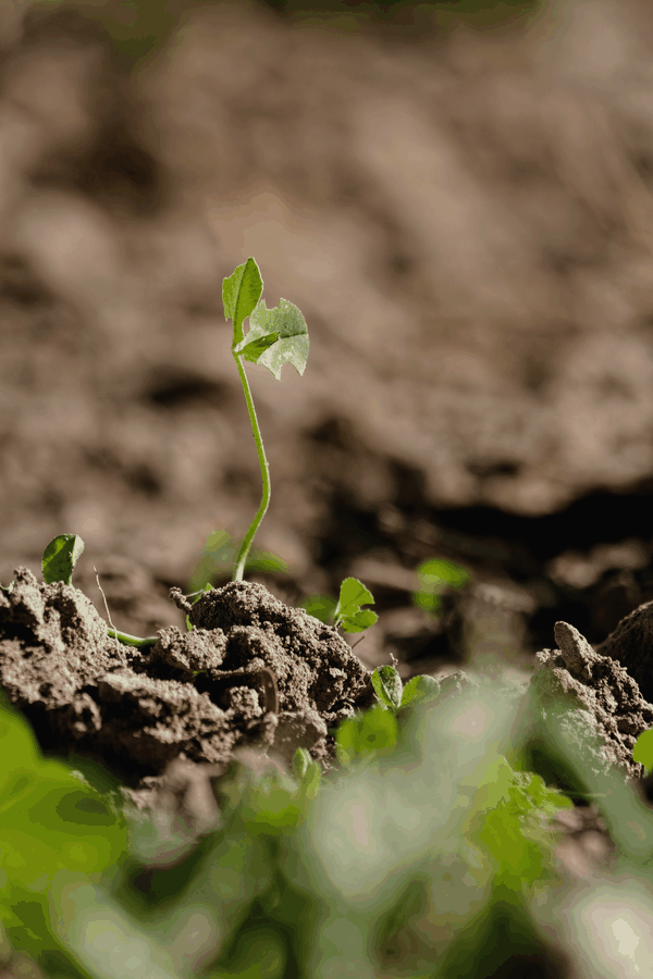 Workshop visual for План внедрения защитных мер