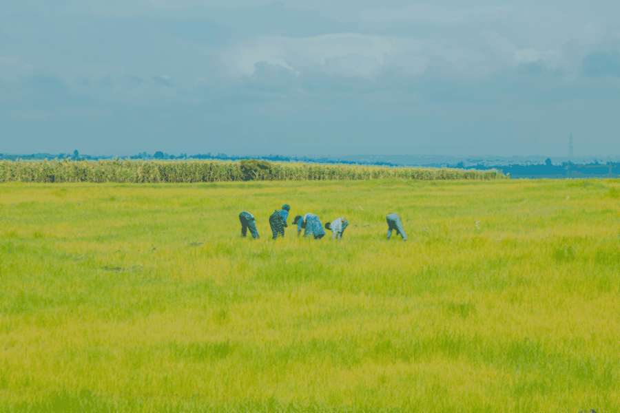 step by step, implementation process, training session, skill development