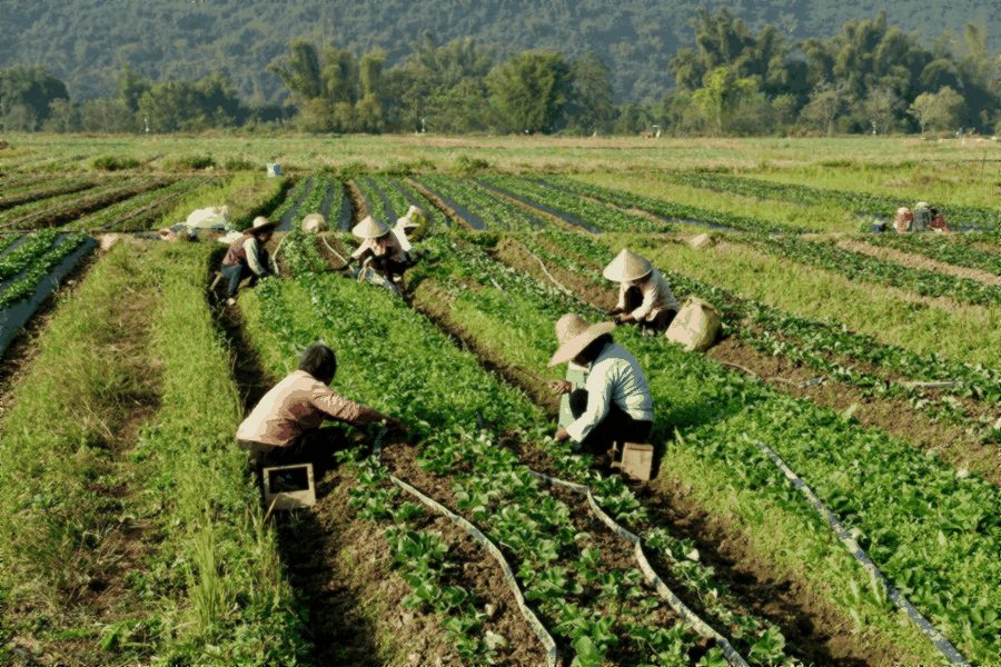 success metrics, business growth, achievement celebration, data visualization